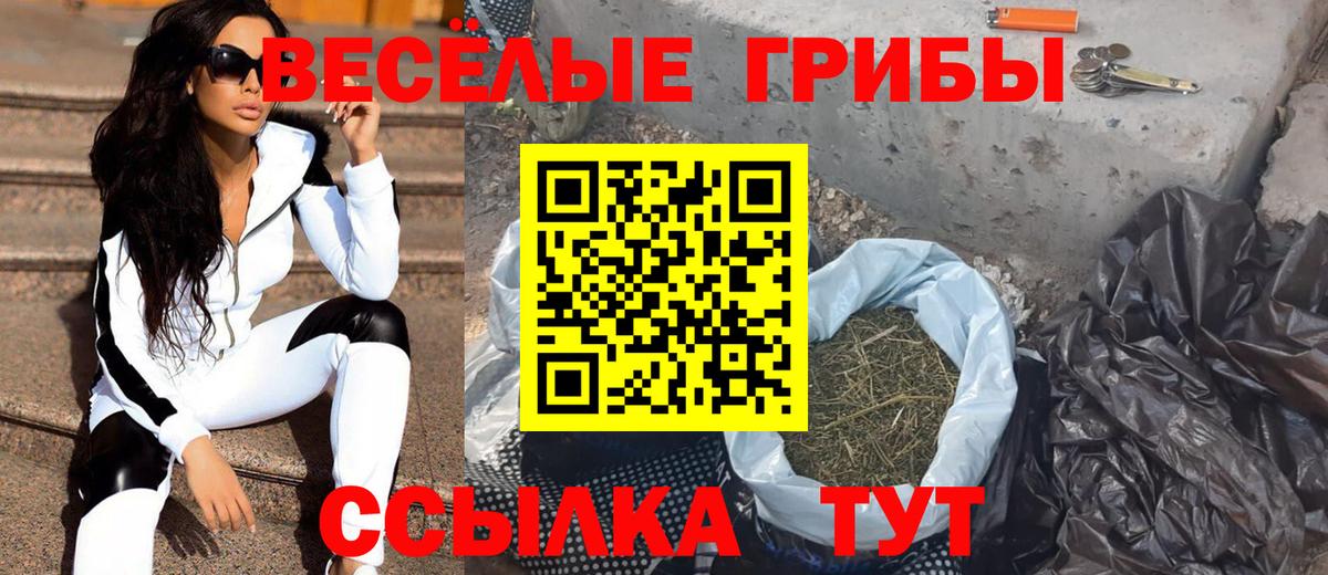 Псилоцибиновые грибы MAGIC MUSHROOMS  Вход с VPN  сколько стоит  Менделеевск 